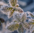Фото: pixabay.com | «Апрель и май сломают все сценарии XXI века». Синоптики сказали, к чему готовиться - PrimPress.Ru