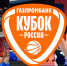 Звезды баскетбола на Русском: кампус ДВФУ принимает «Финал четырех» Кубка России - ДВФУ