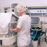hn0ucu2ge910y71iillngfi3d8cl9513.jpg - Primorye24.Ru