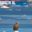 Сегодня во Владивостоке без осадков и до +3 °С - NewsVl.Ru