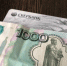 Фото: PRIMPRESS | Почему пенсионерам лучше не держать всю пенсию на одной карте - PrimPress.Ru