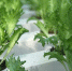 e0negb1txiaybcly70d7nhe1ec07k3ly.jpg - Primorye24.Ru