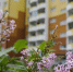 s894w4cxl0l7vbzbwdwg4an374m89jku.jpg - Primorye24.Ru