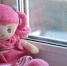 u7765umek01a5q7o7a16uzu8yp16o7s2.jpg - Primorye24.Ru