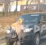«Водитель без тормозов»: UAZ Patriot едва не переехал женщину на «зебре» во Владивостоке - ГТРК Владивосток