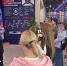 # - ВВГУ