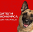 Приморский кинолог ОМОН со своим четвероногим  товарищем стал одним из призеров фотоконкурса «Служат два товарища» - Росгвардия