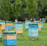 thumb_562743_news_xxxl.jpeg - Primorye24.Ru