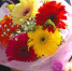hfgcrlowlqw5s7aavyu1bt0a8vplzxbs.jpeg - Primorye24.Ru