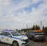 Во Владивостоке наказали водителя, который возил динозавра в кузове - КП Владивосток