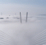Сегодня во Владивостоке до +12 °C - NewsVl.Ru