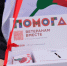 Красная гвоздика.jpg - Администрация г. Владивостока