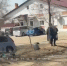 Один лежит на боку, другой врезался в дерево: дичайшее ДТП в Приморье - ГТРК Владивосток