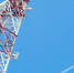 БС_3.jpg - Primorye24.Ru